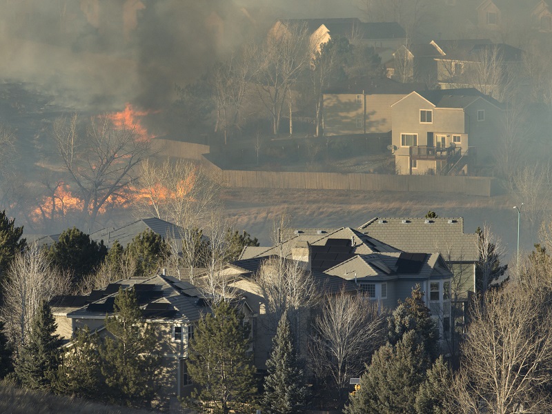 wild fires burn grasslands