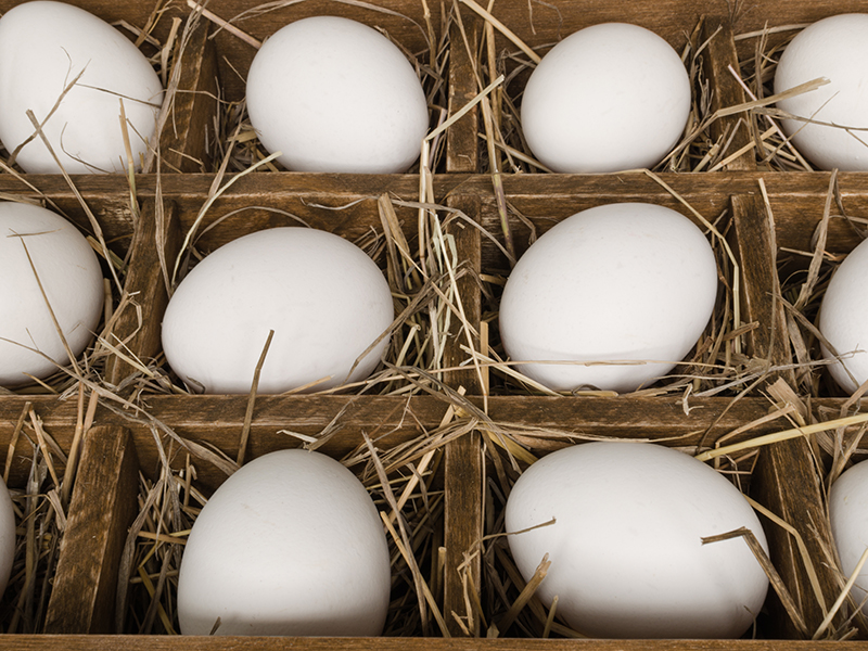 Wooden box lined with hay from the chicken eggs