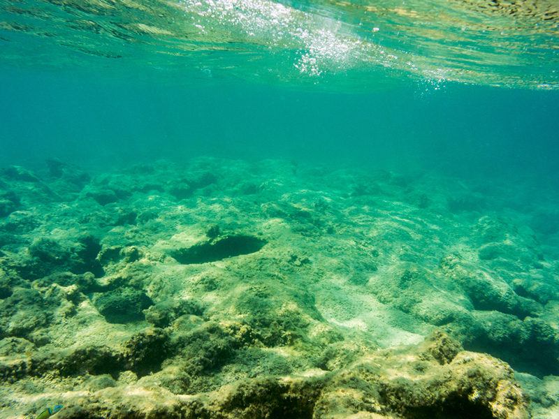 Underwater coral reef||